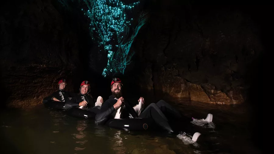 Black Labyrinth tour with glowworms in Ruakuri Caves, New Zealand