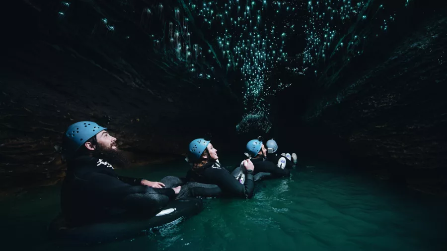 Glow worms above rafters in Ruakuri Cave on Black Labyrinth tour