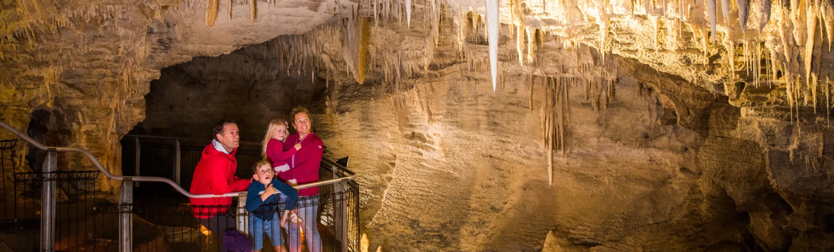 Family exploring Ruakuri Cave in Waitomo with limestone stalactites overhead