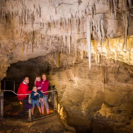 Family exploring Ruakuri Cave in Waitomo with limestone stalactites overhead