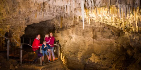 Family exploring Ruakuri Cave in Waitomo with limestone stalactites overhead