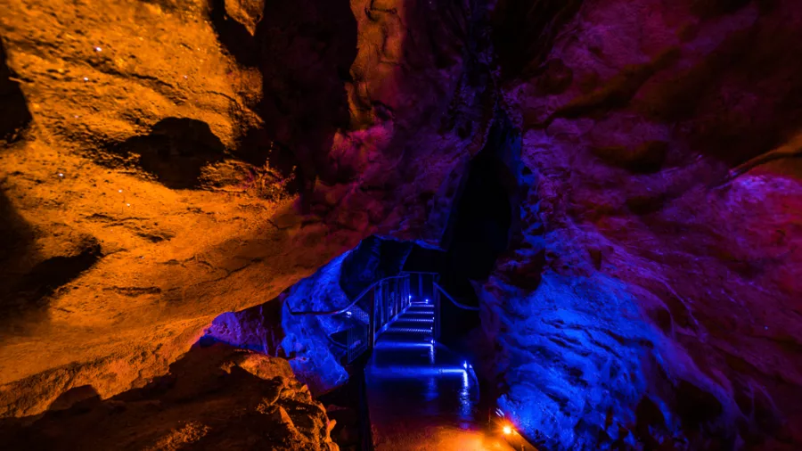 Illuminated walkway inside Ruakuri Cave in Waitomo, highlighting orange and blue rock formations.