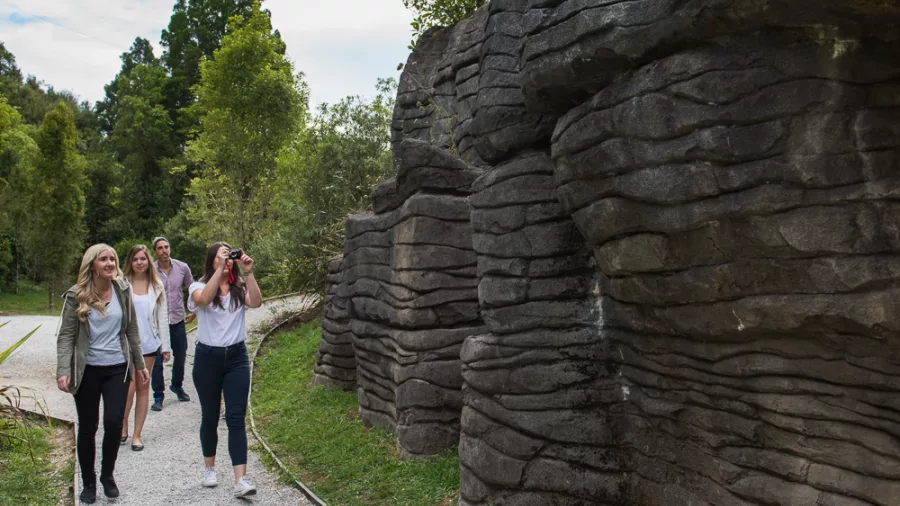Visitors walking along the forest path beside layered limestone formations at the entrance to Ruakuri Cave in Waitomo, New Zealand.