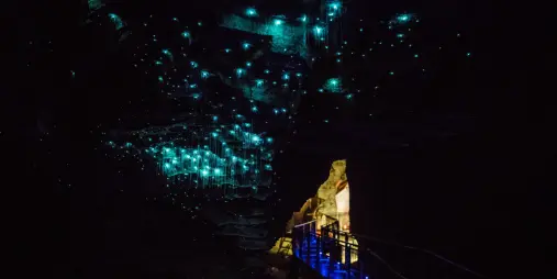 Walkway inside Waitomo Glowworm Caves lit by glowing blue light from thousands of glowworms