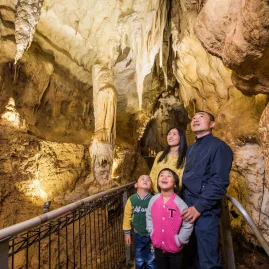 Family exploring limestone stalactites and columns on a walkway inside Waitomo Caves