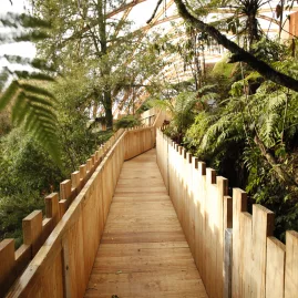 Wooden boardwalk leading through native bush towards the Waitomo Glowworm Caves entrance in New Zealand.
