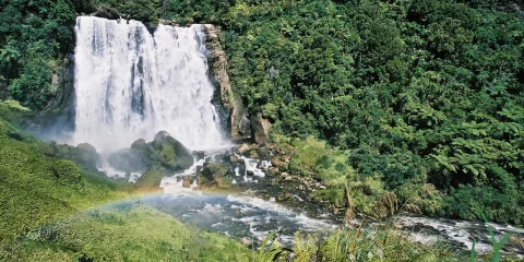 Marokopa Falls cascading through native forest in Waitomo with a rainbow across the water