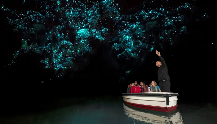 A small tour group in a boat gazing up at glowworms in the Waitomo Caves with a guide explaining the natural phenomenon