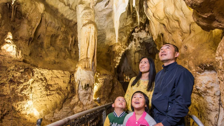 Family exploring limestone stalactites and columns on a walkway inside Waitomo Caves