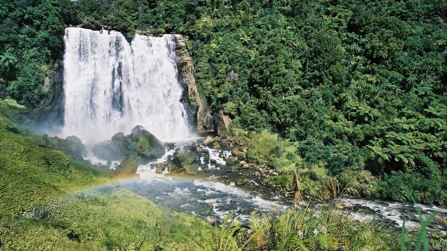 Marokopa Falls cascading through native forest in Waitomo with a rainbow across the water