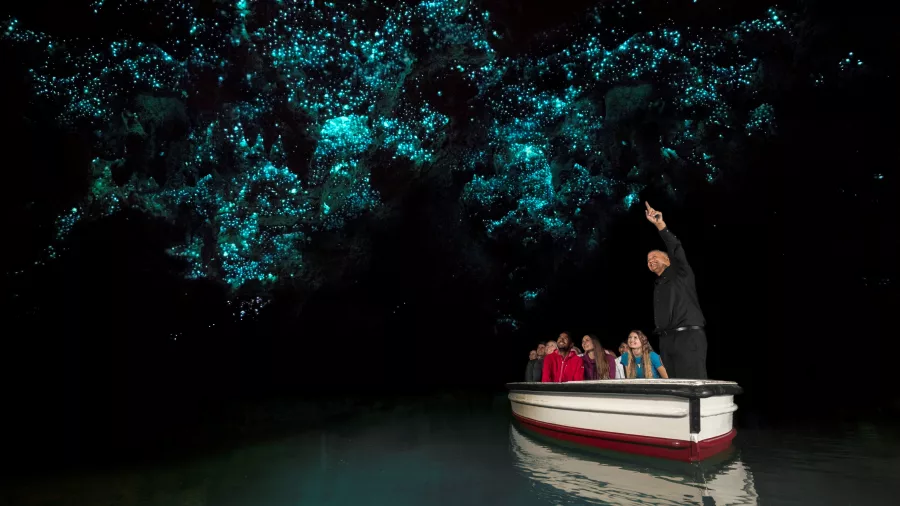 A small tour group in a boat gazing up at glowworms in the Waitomo Caves with a guide explaining the natural phenomenon