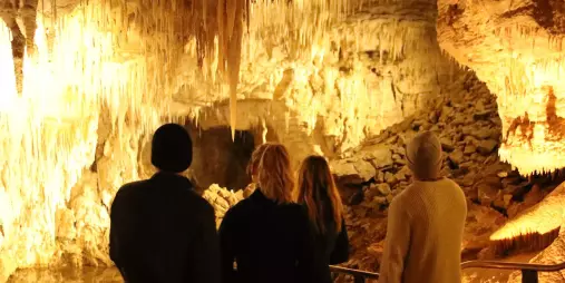 Group admiring limestone stalactites inside the illuminated chambers of Waitomo Caves