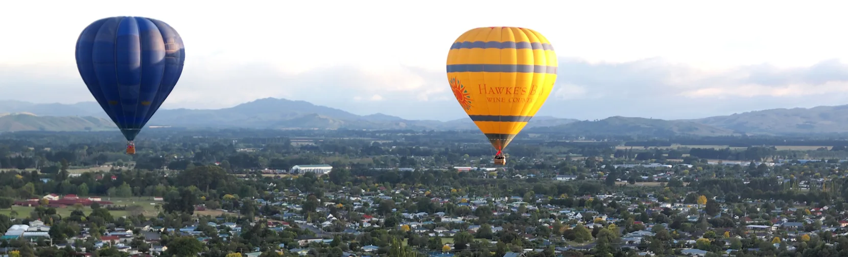 Hot air balloons taking off over the Wairarapa countryside in the Wellington Region, New Zealand