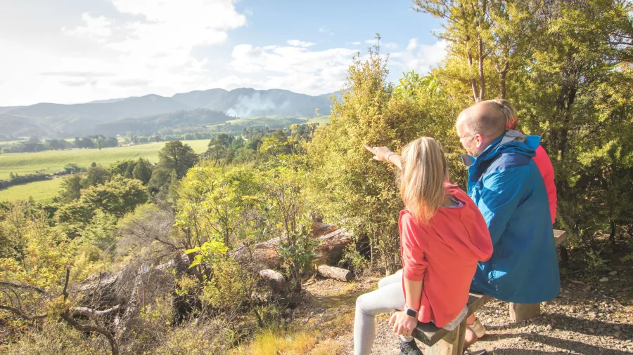 Lush native forest walking track at Fensham Reserve in Carterton, Wellington Region, New Zealand