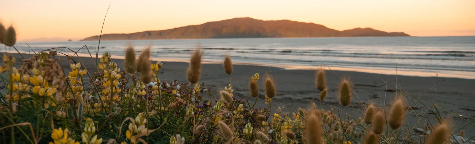 Kapiti Island viewed from Paraparaumu Beach at sunset, Kapiti Coast, New Zealand