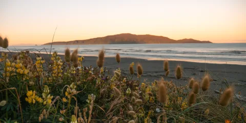 Kapiti Island viewed from Paraparaumu Beach at sunset, Kapiti Coast, New Zealand