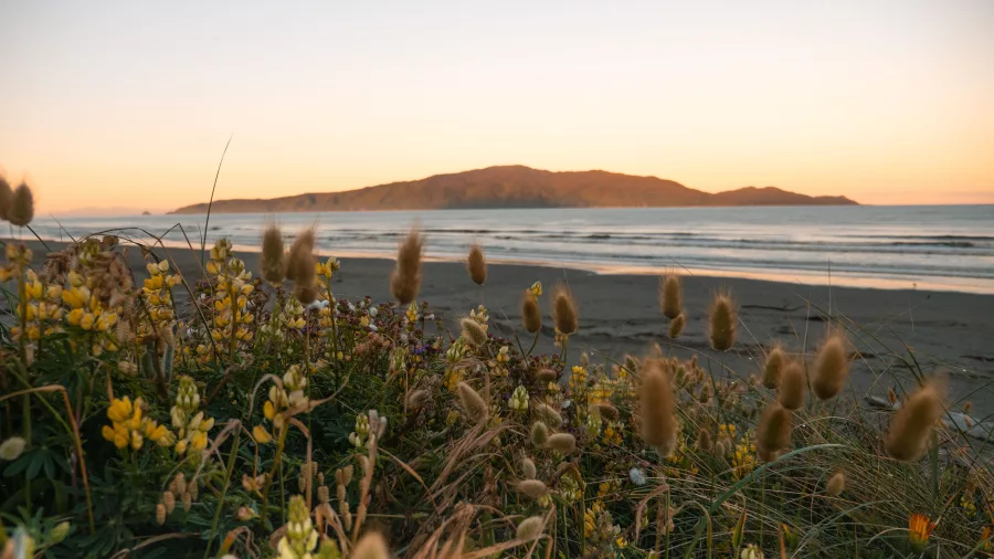 Kapiti Island viewed from Paraparaumu Beach at sunset, Kapiti Coast, New Zealand