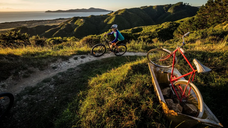 Mountain biker riding the MTB No.2 Bathtub Track at Whareroa Farm with Kapiti Island views, Kapiti Coast, New Zealand