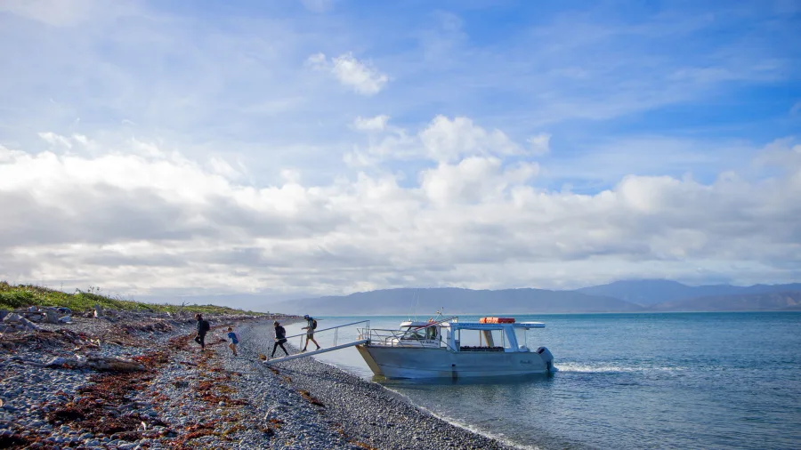 Visitors disembarking from a boat onto the shore of Kapiti Island, Wellington Region, New Zealand