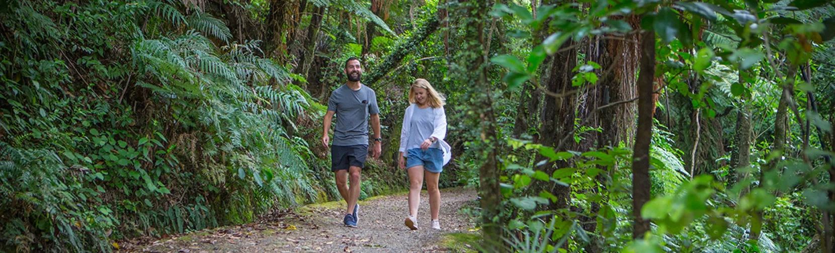 Two people walking a native bush trail in Eastbourne, Lower Hutt, Wellington Region, New Zealand