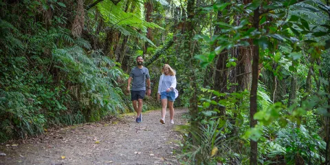 Two people walking a native bush trail in Eastbourne, Lower Hutt, Wellington Region, New Zealand