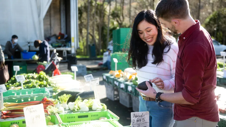Couple shopping for fresh produce at Riverbank Market in Lower Hutt, Wellington Region, New Zealand