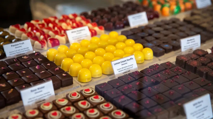 Assorted handcrafted chocolates on display at The Chocolate Story in Lower Hutt, Wellington Region, New Zealand