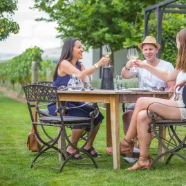 Group toasting wine at vineyard table in Martinborough