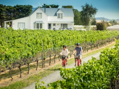Couple cycling through vineyards near Martinborough Square