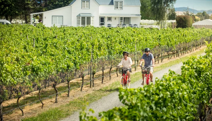 Couple cycling through vineyards near Martinborough Square