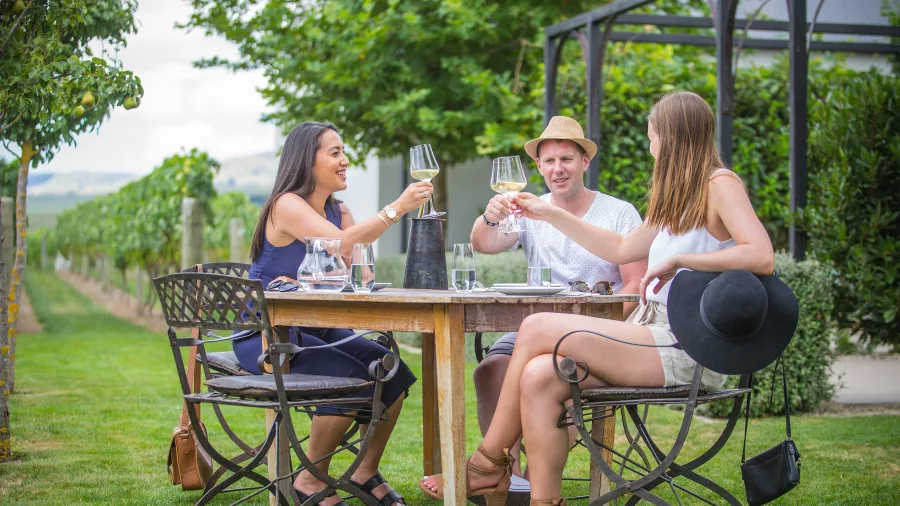 Group toasting wine at vineyard table in Martinborough