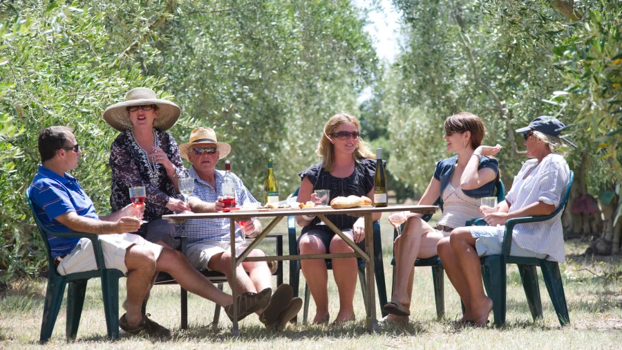 Group enjoying wine and food in a Martinborough olive grove