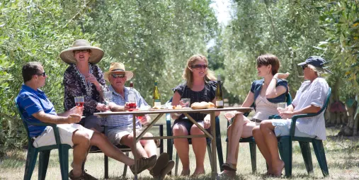 Group enjoying wine and food in a Martinborough olive grove