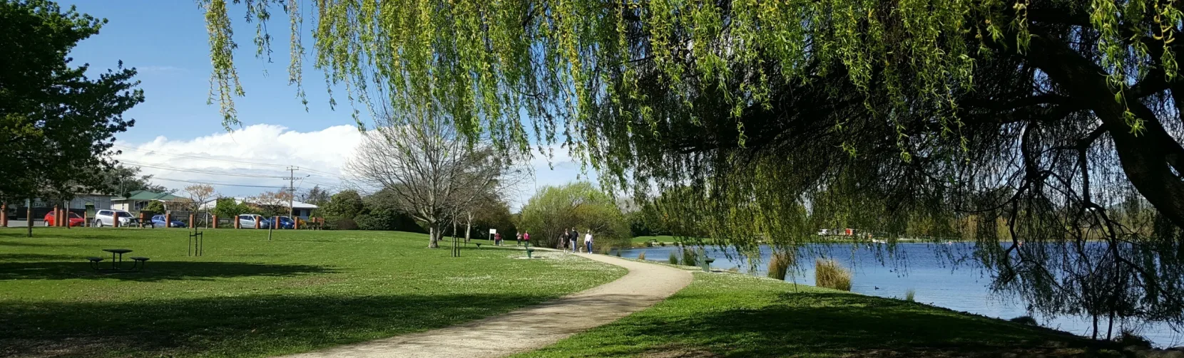 Tree-lined lakeside path at Henley Lake Park in Masterton