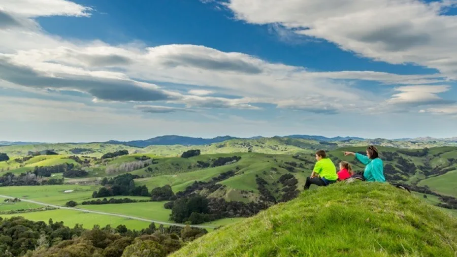 Family enjoying panoramic views from Rewanui Forest Park lookout