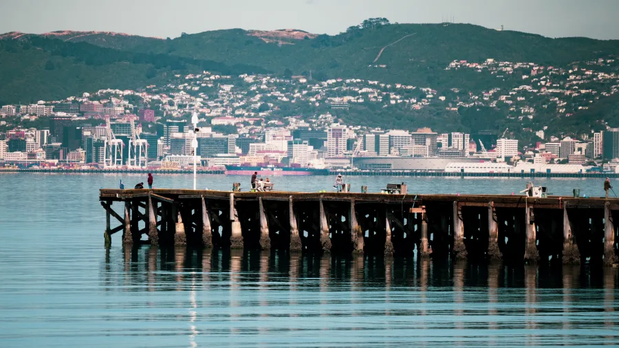 Petone Wharf overlooking Wellington Harbour cityscape