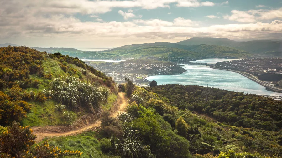 Walking trail overlooking Porirua Harbour at Rangituhi Colonial Knob