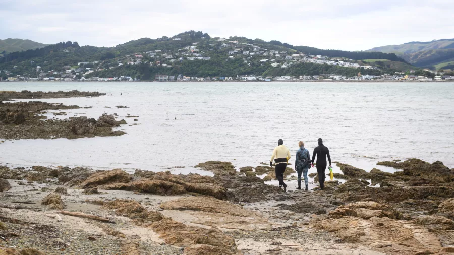Three people walking toward the sea for a snorkelling session at Whitireia Park in Porirua near Wellington