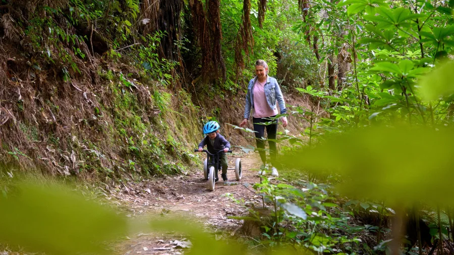 Parent and child enjoying a nature walk along Spicer Link Track in Porirua