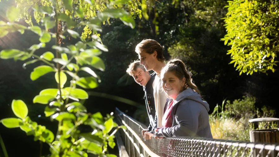Three people enjoying the bush walkway at Percy Scenic Reserve in Upper Hutt