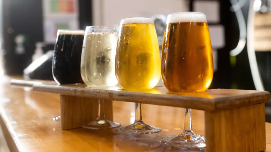 Craft beer tasting flight at Brewtown in Upper Hutt, Wellington