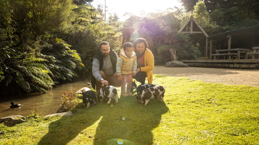 Family interacting with piglets at Staglands Wildlife Reserve in Upper Hutt, Wellington