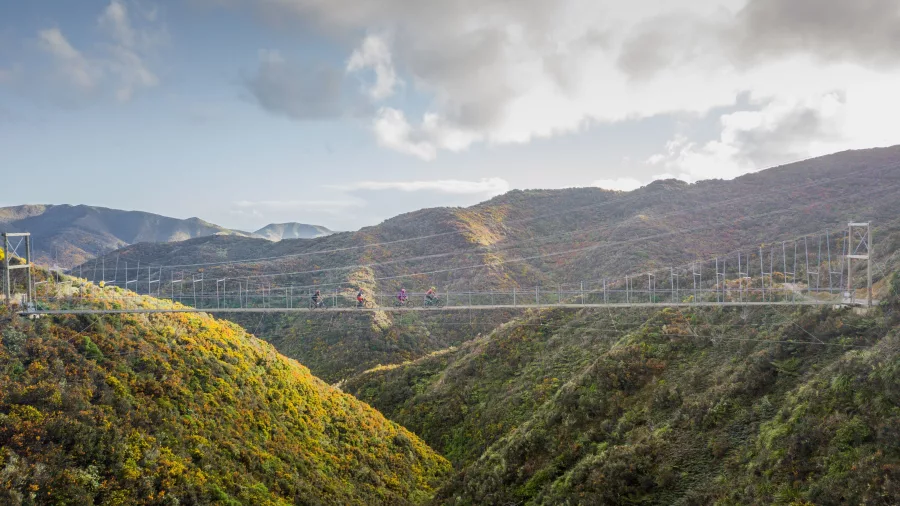 Suspension bridge with mountain bikers crossing above forested hills at Mākara Peak Mountain Bike Park Wellington