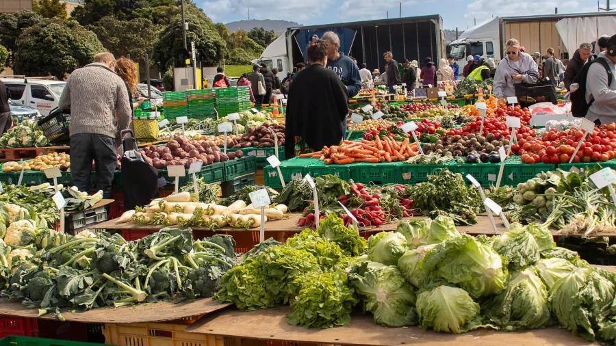 Shoppers browsing fresh produce at an outdoor vegetable market in Wellington