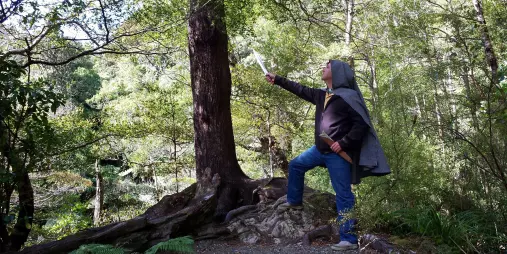 John poses with sword in front of the Legolas Tree filming location in Kaitoke Regional Park