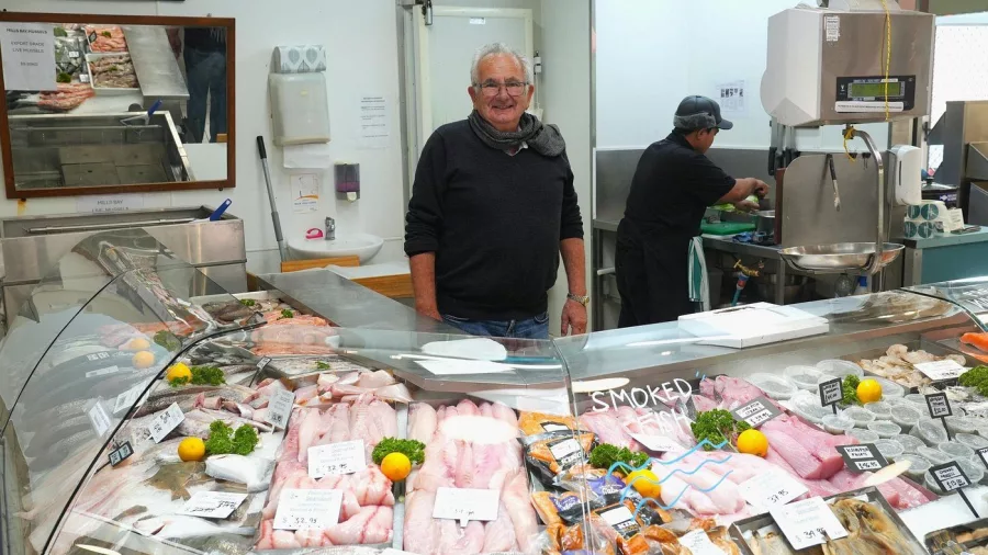 Fresh fish display at a local seafood market in Wellington