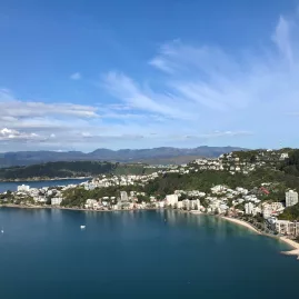 Aerial view of Oriental Bay and surrounding hills in Wellington on a clear day
