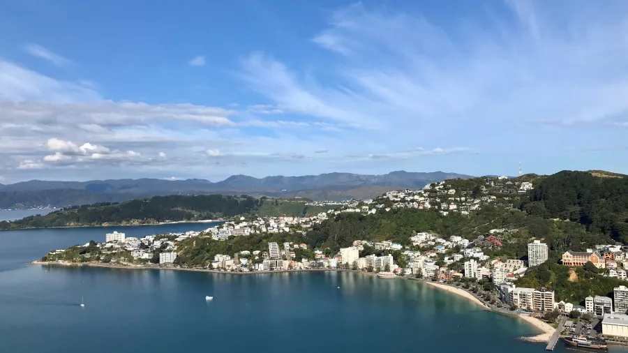 Aerial view of Oriental Bay and surrounding hills in Wellington on a clear day