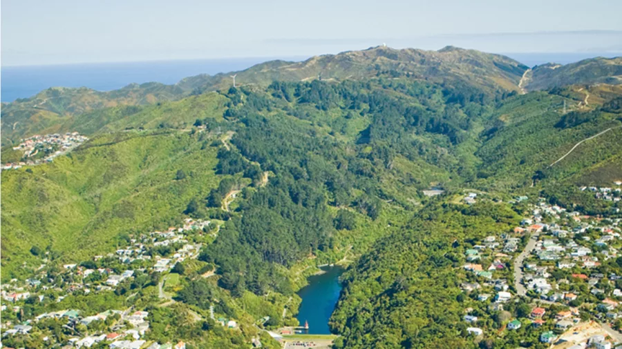 Aerial view of Wellington Harbour and surrounding suburbs in New Zealand