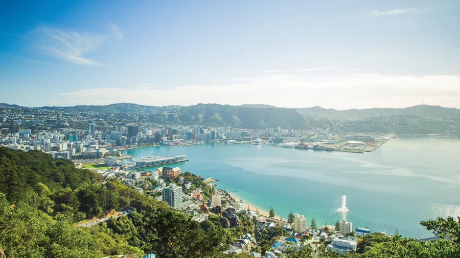 Aerial view of Wellington city and harbour from a scenic helicopter flight